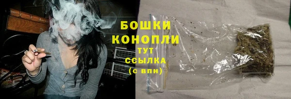 твердый Елизово