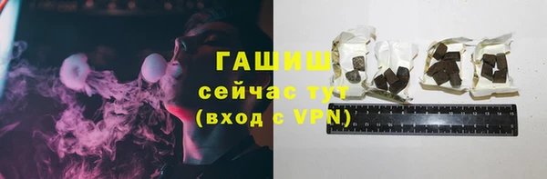твердый Елизово