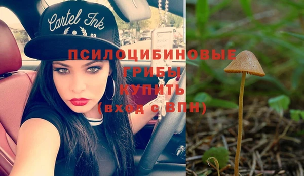 скорость Заводоуковск