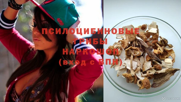 твердый Елизово