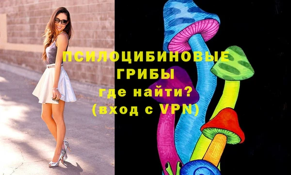 прущий лед Елабуга