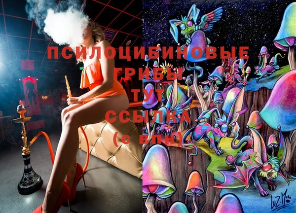 трава Корсаков