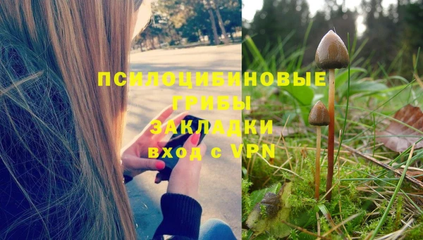 MDMA Premium VHQ Ельня