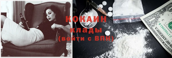 прущие грибы Нея