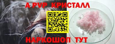 спиды Сланцы