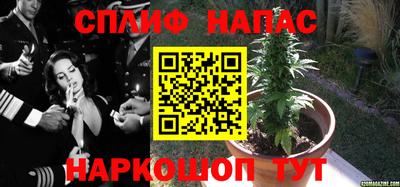 твердый Славгород
