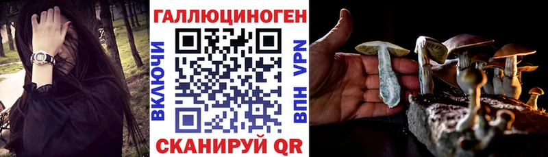 даркнет сайт  ссылка на мегу ТОР  Псилоцибиновые грибы прущие грибы  Черногорск 