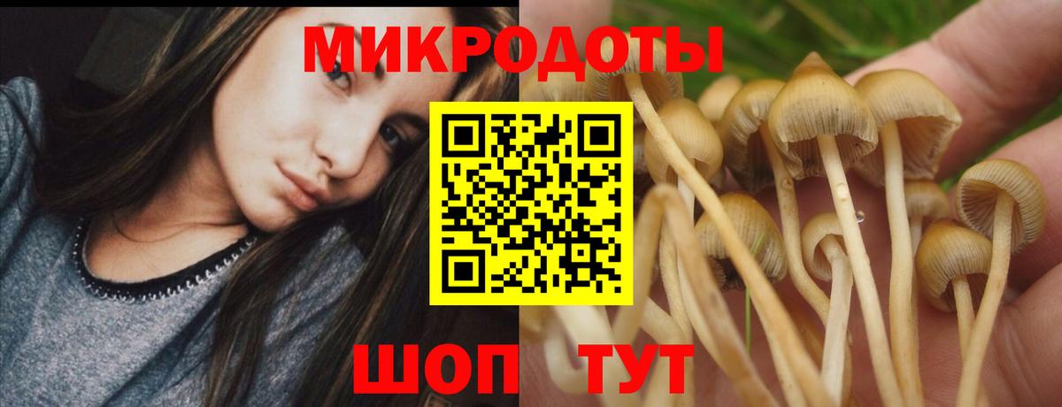 Черногорск  Галлюциногенные грибы прущие грибы  Вход с VPN  где купить наркоту  Псилоцибиновые грибы Magic Shrooms 